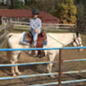 Meet your Posher, Nina